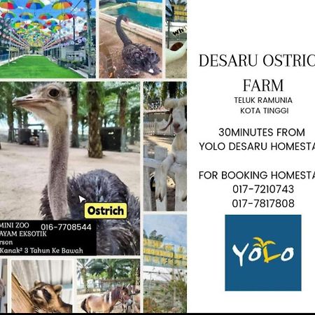 Desaru Homestay-Eva Villa Pool Homestay By Yolo Resort Bandar Penawar 외부 사진